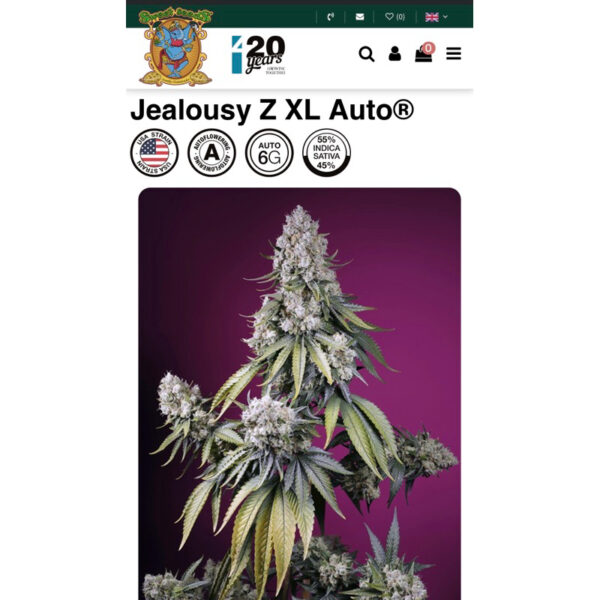 เมล็ดกัญชา Jealousy Z XL (Auto) - Sweet Seeds - Image 7