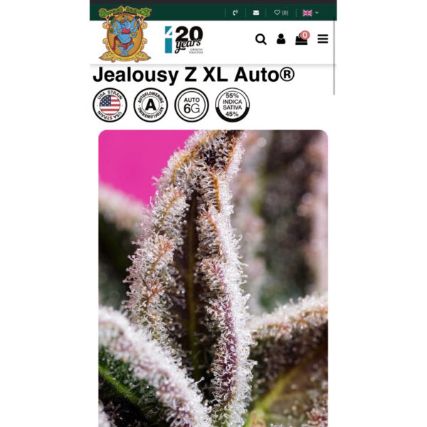 เมล็ดกัญชา Jealousy Z XL (Auto) - Sweet Seeds - Image 6