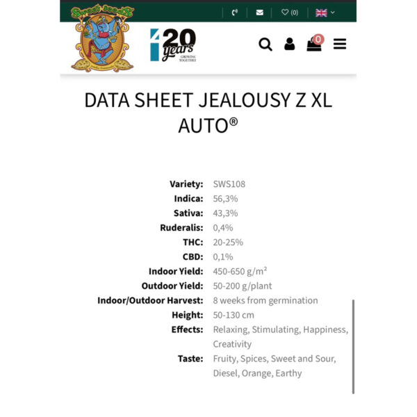 เมล็ดกัญชา Jealousy Z XL (Auto) - Sweet Seeds - Image 4