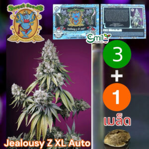เมล็ดกัญชา Jealousy Z XL (Auto) - Sweet Seeds