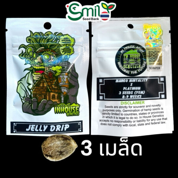 เมล็ดกัญชา Jelly Drip (Fem) Limited Edition* - In House Genetics [LIMITED] - Image 8