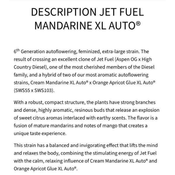 เมล็ดกัญชา Jet Fuel Mandarine XL (Auto) - Sweet Seeds - Image 5