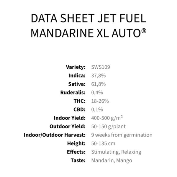 เมล็ดกัญชา Jet Fuel Mandarine XL (Auto) - Sweet Seeds - Image 4