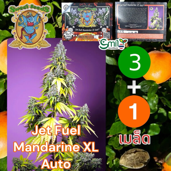 เมล็ดกัญชา Jet Fuel Mandarine XL (Auto) - Sweet Seeds