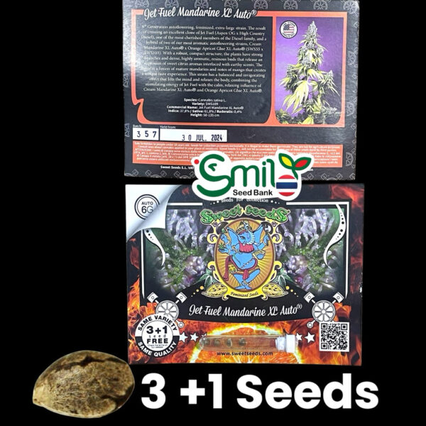 เมล็ดกัญชา Jet Fuel Mandarine XL (Auto) - Sweet Seeds - Image 7