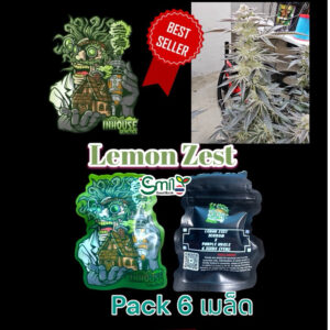 เมล็ดกัญชา Lemon Zest (Fem) ใหม่ แนะนำ* - In House Genetics [Purple Urkle Drop]