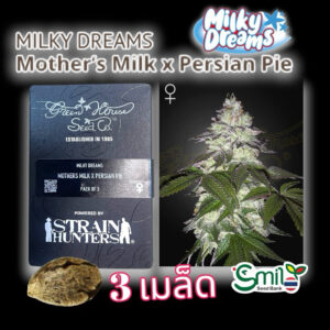 เมล็ดพันธุ์กัญชา Milky Dreams (Fem) - Green House Seeds.Co