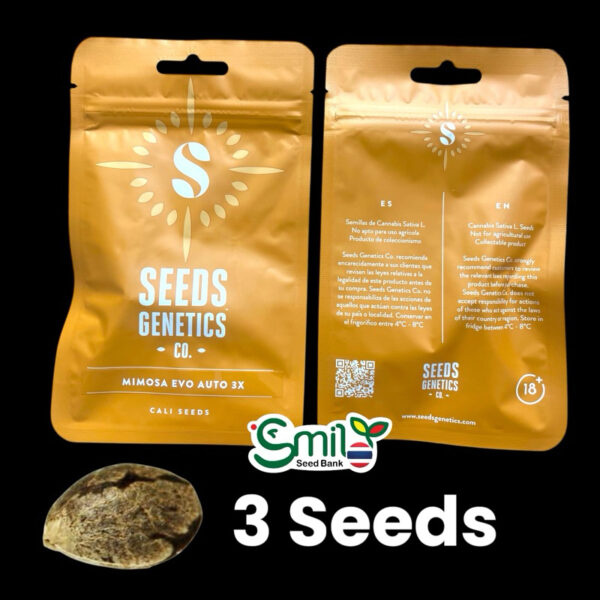 เมล็ดกัญชา Mimosa Evo (Auto) - Seeds Genetics.Co - Image 3