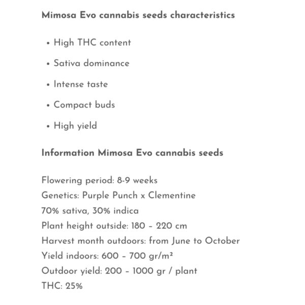 เมล็ดกัญชา Mimosa Evo (Fem) ขายดี* - Seeds Genetics.Co - Image 3