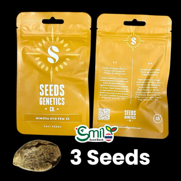 เมล็ดกัญชา Mimosa Evo (Fem) ขายดี* - Seeds Genetics.Co - Image 8