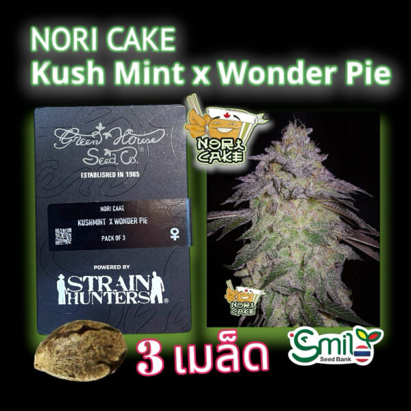 เมล็ดพันธุ์กัญชา Nori Cake (Fem) – Green House Seeds.Co