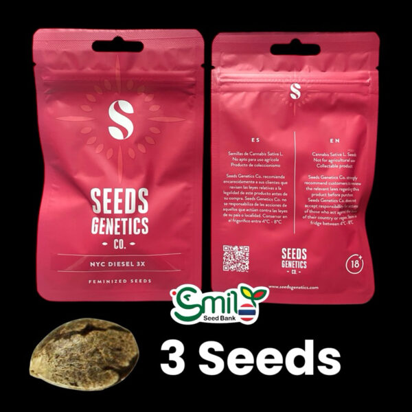 เมล็ดกัญชา NYC Diesel (Fem) - Seeds Genetics.Co - Image 8