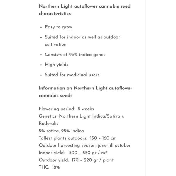 เมล็ดกัญชา Super Lemon Haze (Auto) - Seeds Geneitcs.Co - Image 4