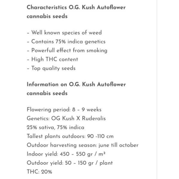 เมล็ดกัญชา OG Kush (Auto) - Seeds Genetics.Co - Image 3
