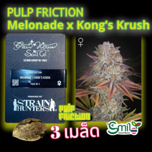 เมล็ดพันธุ์กัญชา  Pulp Friction (Fem) - Green House Seeds.Co