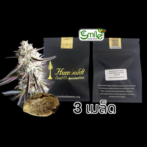 เมล็ดกัญชา Peanut Butter Breath Fast Flowering (Fem) - Humboldt Seed Organization