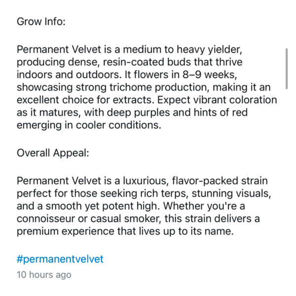 เมล็ดกัญชา Permanent Velvet (Fem) 12/2024* ใหม่ - In House Genetics - Image 8