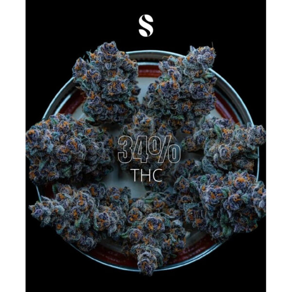 เมล็ดกัญชา Permanent Marker (Fem) ใหม่* - Seeds Genetics.Co - Image 3