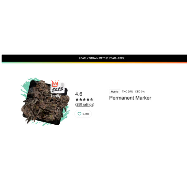 เมล็ดกัญชา Permanent Marker (Fem) ใหม่* - Seeds Genetics.Co - Image 6