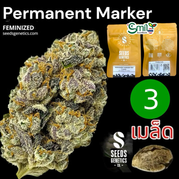 เมล็ดกัญชา Permanent Marker (Fem) ใหม่* - Seeds Genetics.Co
