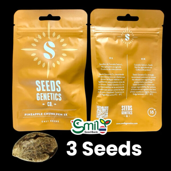 เมล็ดกัญชา Pineapple Chunk (Fem) - Seeds Genetics.Co - Image 8