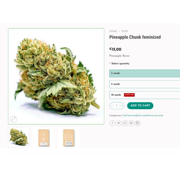 เมล็ดกัญชา Pineapple Chunk (Fem) - Seeds Genetics.Co - Image 6