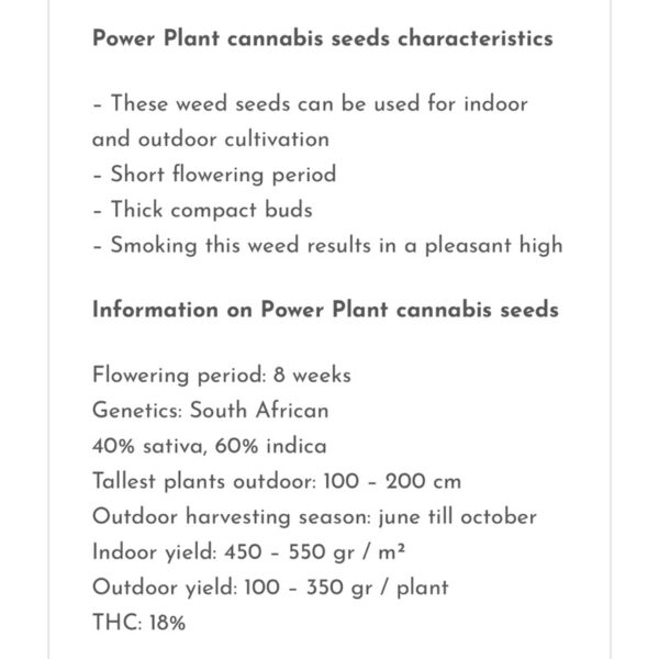 เมล็ดกัญชา Power Plant - Seeds Genetics.Co (Fem) - Image 3
