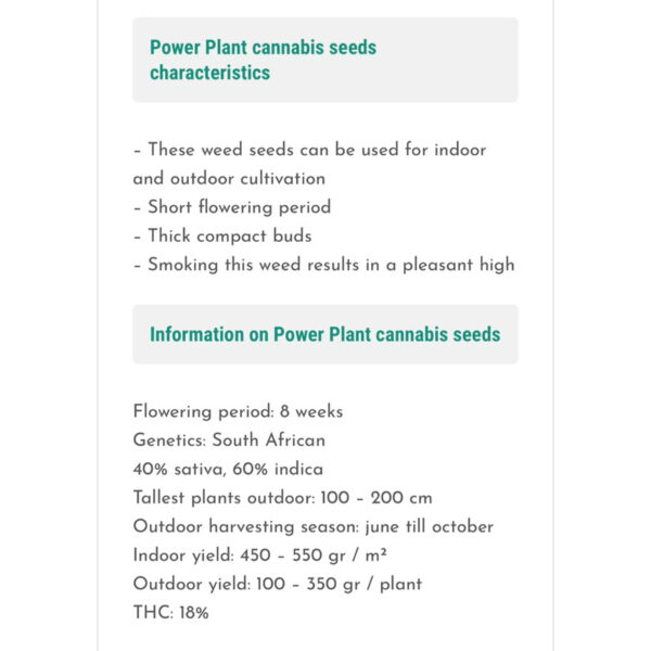 เมล็ดกัญชา Power Plant - Seeds Genetics.Co (Fem) - Image 4