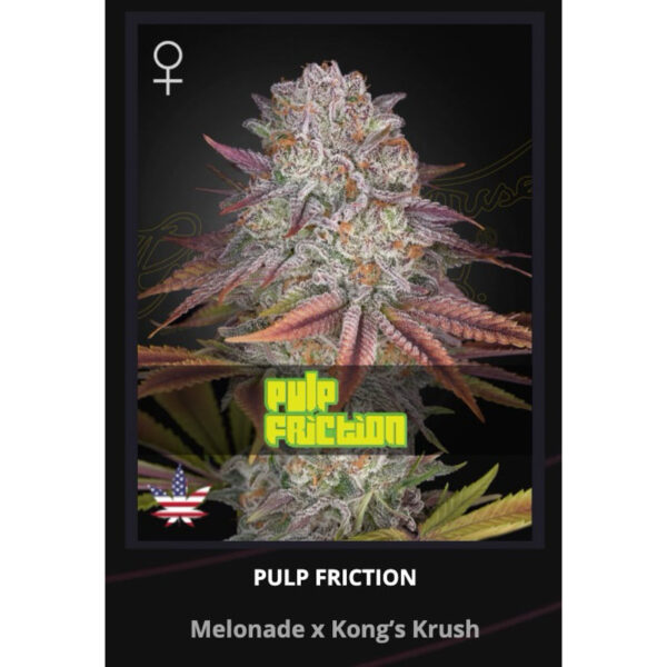 เมล็ดพันธุ์กัญชา  Pulp Friction (Fem) - Green House Seeds.Co - Image 3