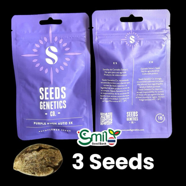 เมล็ดกัญชา Purple Kush (Auto) - Seeds Genetics.Co - Image 7