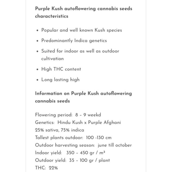 เมล็ดกัญชา Purple Kush (Auto) - Seeds Genetics.Co - Image 8