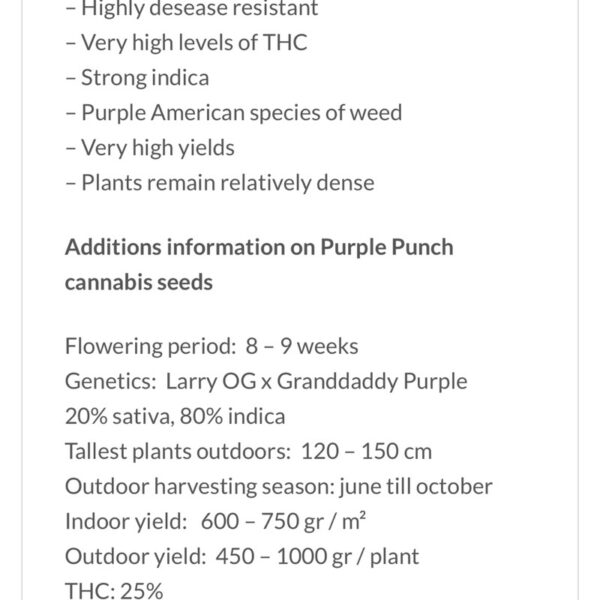 เมล็ดกัญชา Purple Punch (Fem) - Seeds Genetics.Co - Image 5