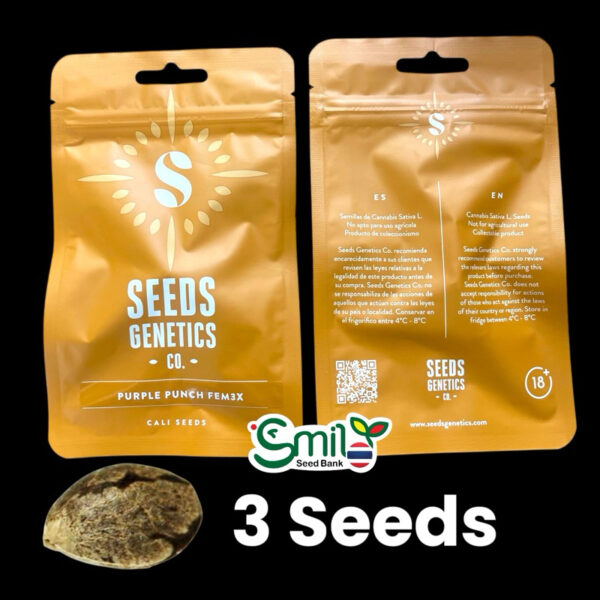 เมล็ดกัญชา Purple Punch (Fem) - Seeds Genetics.Co - Image 8