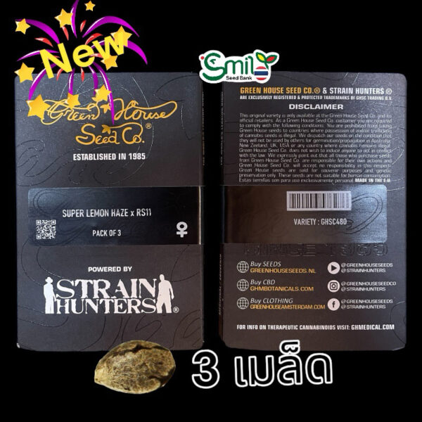 เมล็ดพันธุ์กัญชา  Super Lemon Haze x RS11 (Fem) - Green House Seeds.Co - Image 5