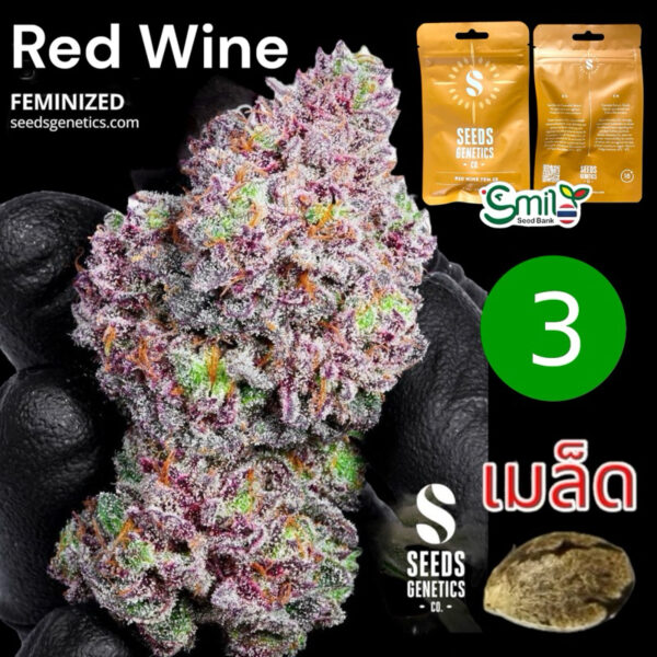 เมล็ดกัญชา Red Wine (Fem) ใหม่ล่าสุด* - Seeds Genetics.Co