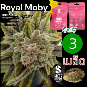 เมล็ดกัญชา Royal Moby (Fem) - Seeds Genetics.Co