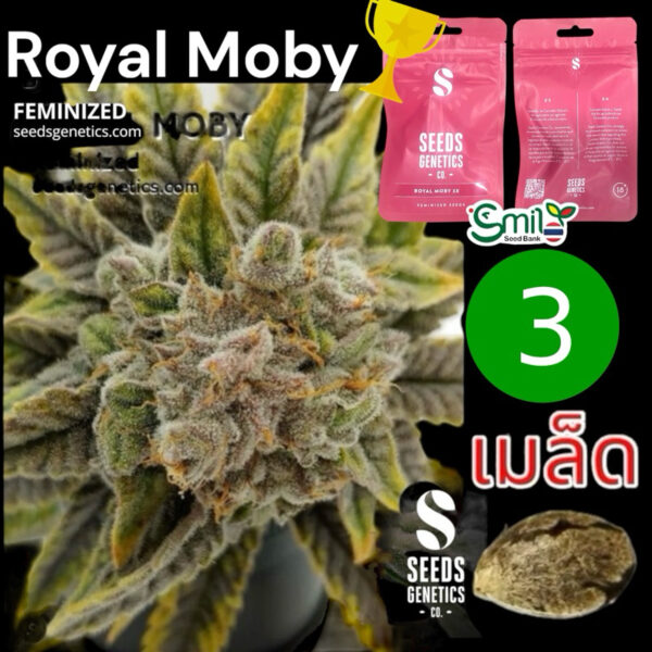 เมล็ดกัญชา Royal Moby (Fem) - Seeds Genetics.Co