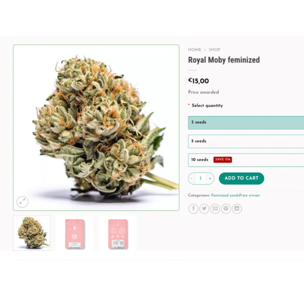 เมล็ดกัญชา Royal Moby (Fem) - Seeds Genetics.Co - Image 7