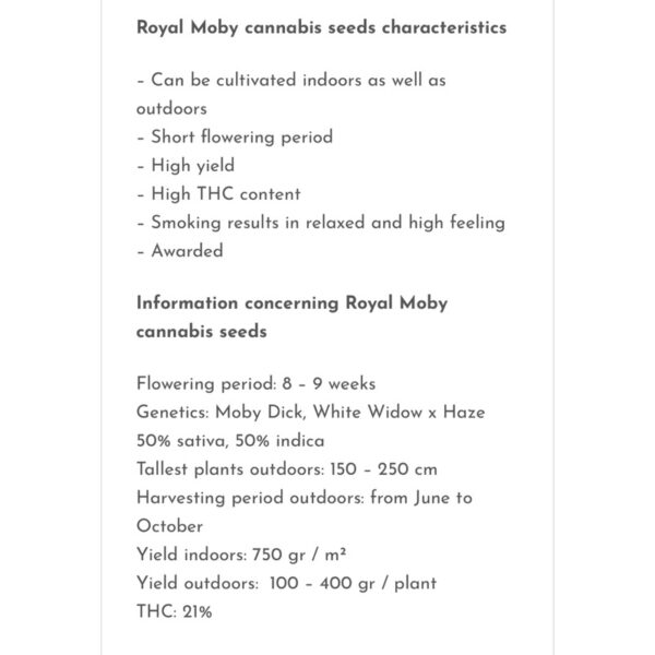 เมล็ดกัญชา Royal Moby (Fem) - Seeds Genetics.Co - Image 3