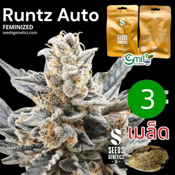 เมล็ดกัญชา Runtz (Auto) ขายดี* - Seeds Genetics.Co