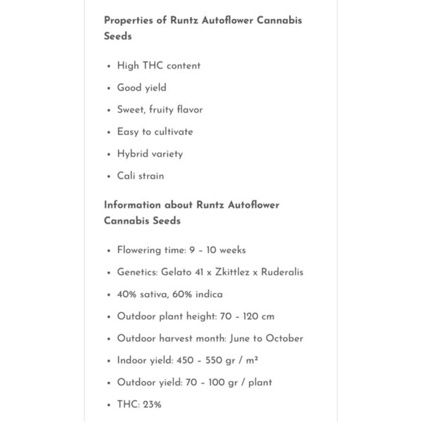 เมล็ดกัญชา Runtz (Auto) ขายดี* - Seeds Genetics.Co - Image 4