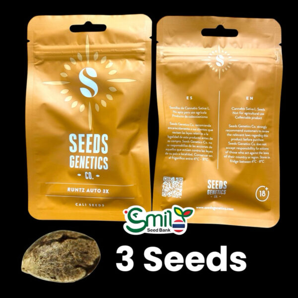 เมล็ดกัญชา Runtz (Auto) ขายดี* - Seeds Genetics.Co - Image 7