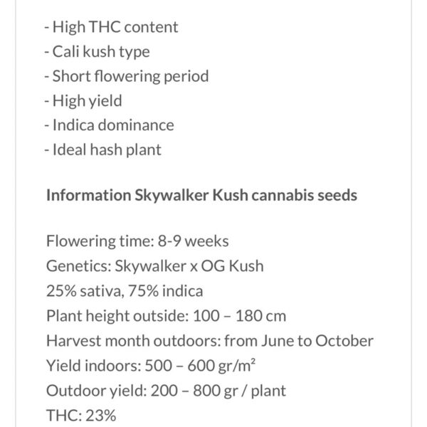 เมล็ดกัญชา Skywalker Kush (Fem) - Seeds Genetics.Co - Image 7