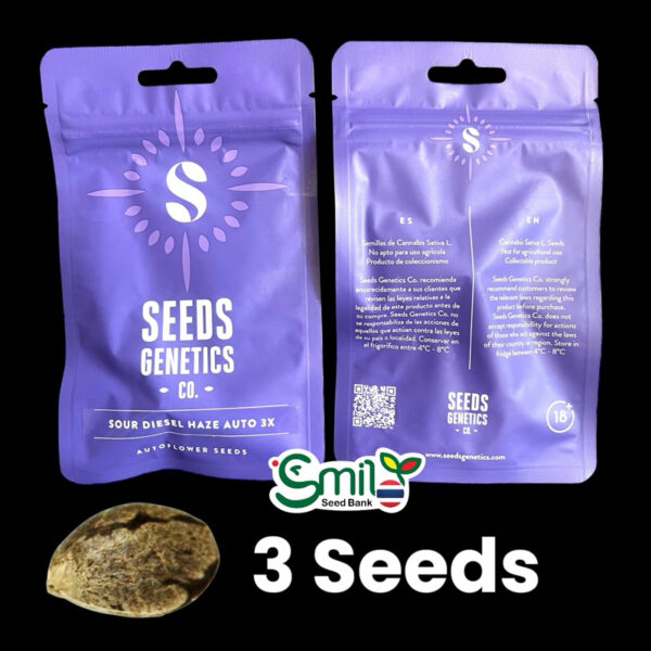 เมล็ดกัญชา Sour Diesel Haze (Auto) - Seeds Genetics.Co - Image 6