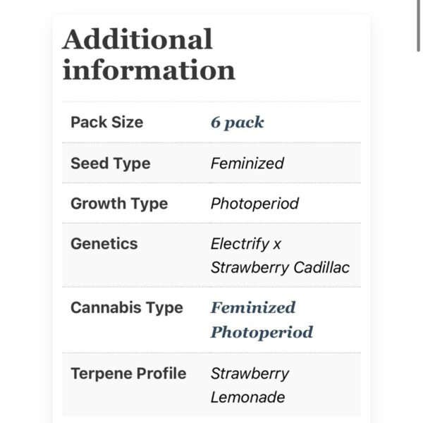เมล็ดกัญชา Straw-lectric Lemonade (Fem) - Loving In Her Eyes Seeds - Image 6