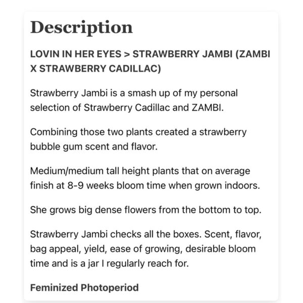 เมล็ดกัญชา Strawberry  Jambi (Fem) - Loving In Her Eyes Seeds - Image 4