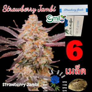 เมล็ดกัญชา Strawberry  Jambi (Fem) - Loving In Her Eyes Seeds