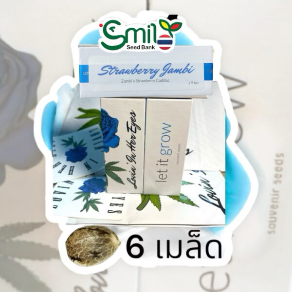 เมล็ดกัญชา Strawberry  Jambi (Fem) - Loving In Her Eyes Seeds - Image 9