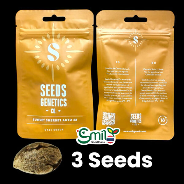 เมล็ดกัญชา Sunset Sherbet (Auto) - Seeds Genetics.Co - Image 4