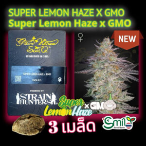 เมล็ดพันธุ์กัญชา  Super Lemon Haze x GMO (Fem) - Green House Seeds.Co